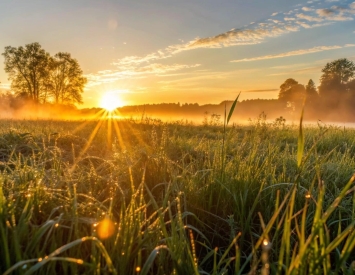 O sol que nasce para os bons e para os maus